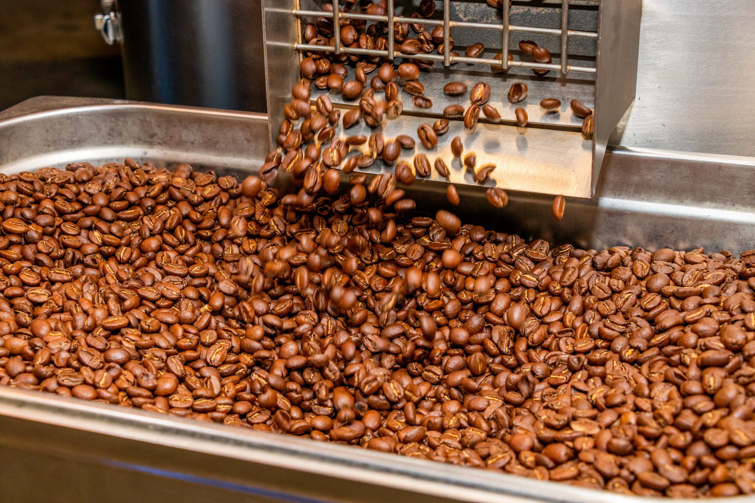 JEBENA MEDIUM ROAST BEANS