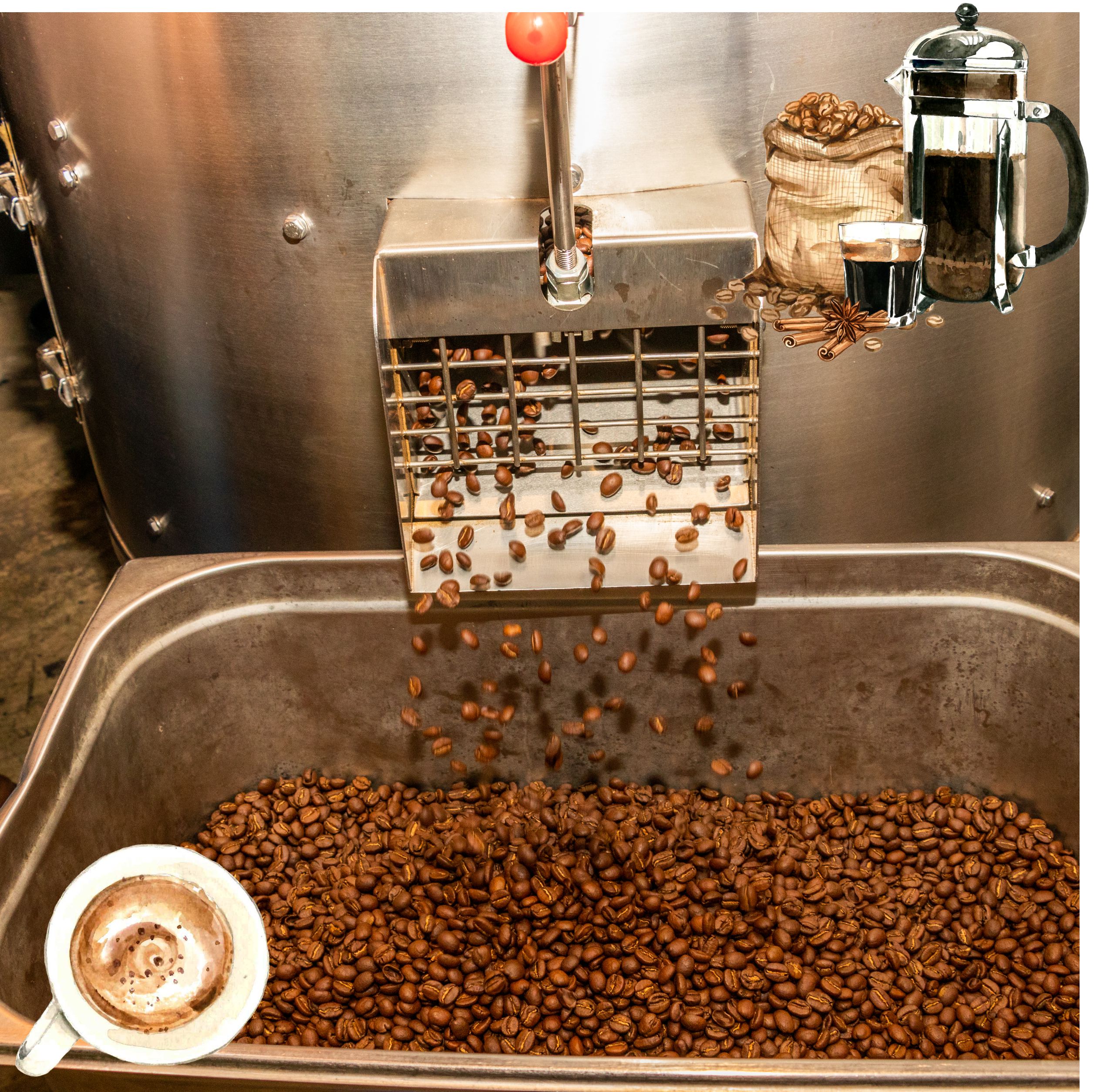 Top Quality Jebena Medium Roast Coffee from Kesh Kesh Coffee Roastery